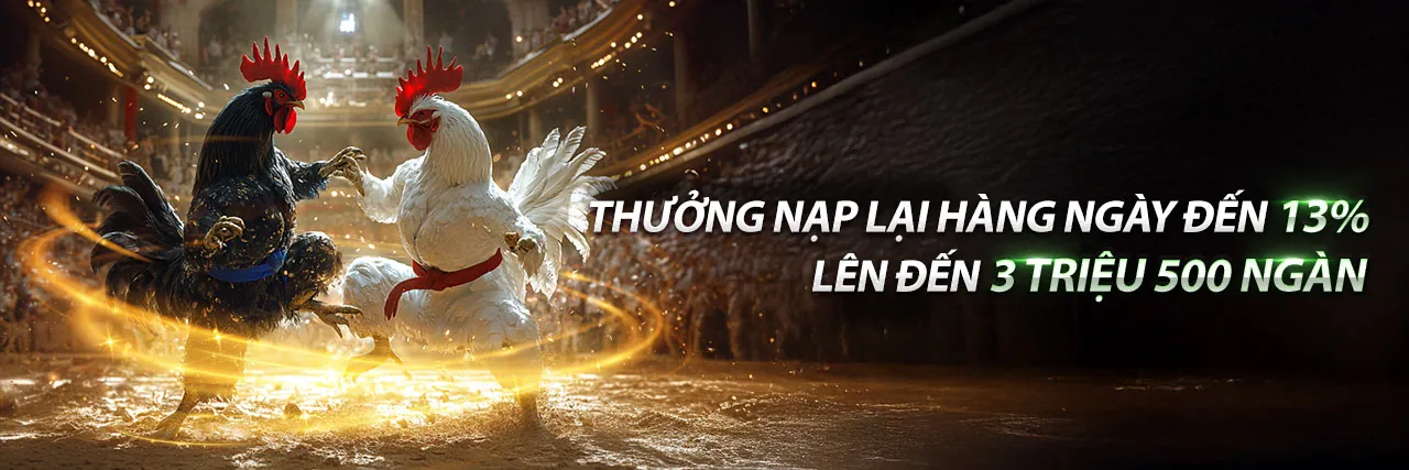 Đá Gà Thomo 13/3/2023 – Trải nghiệm cá cược trực tuyến tại Zowin